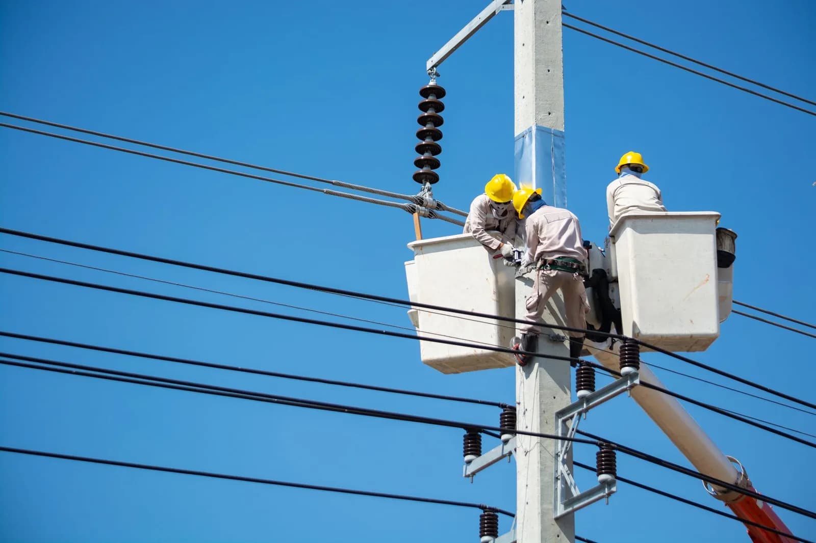 Eletricistas com capacete trabalham em cesto elevado junto à rede de energia