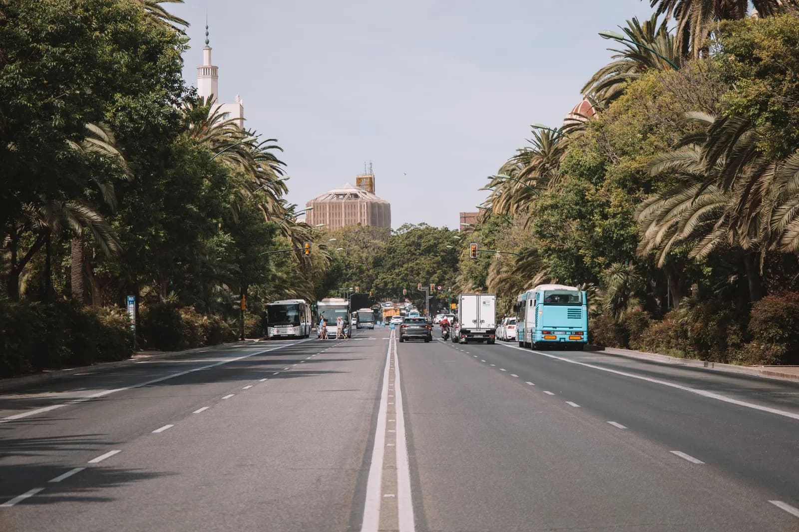 Avenida arborizada com ônibus ao fundo