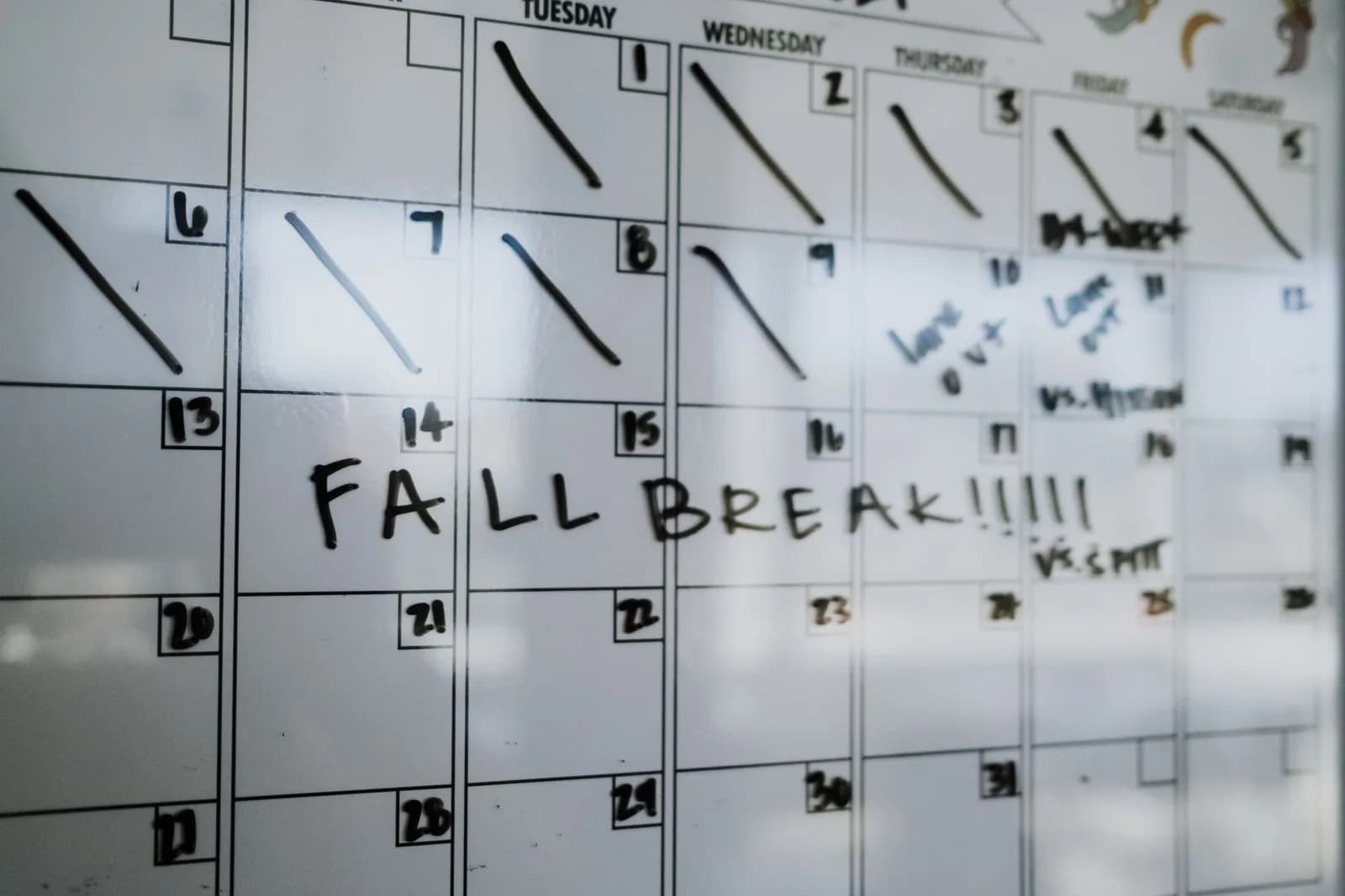 Calendário e contagem de prazos