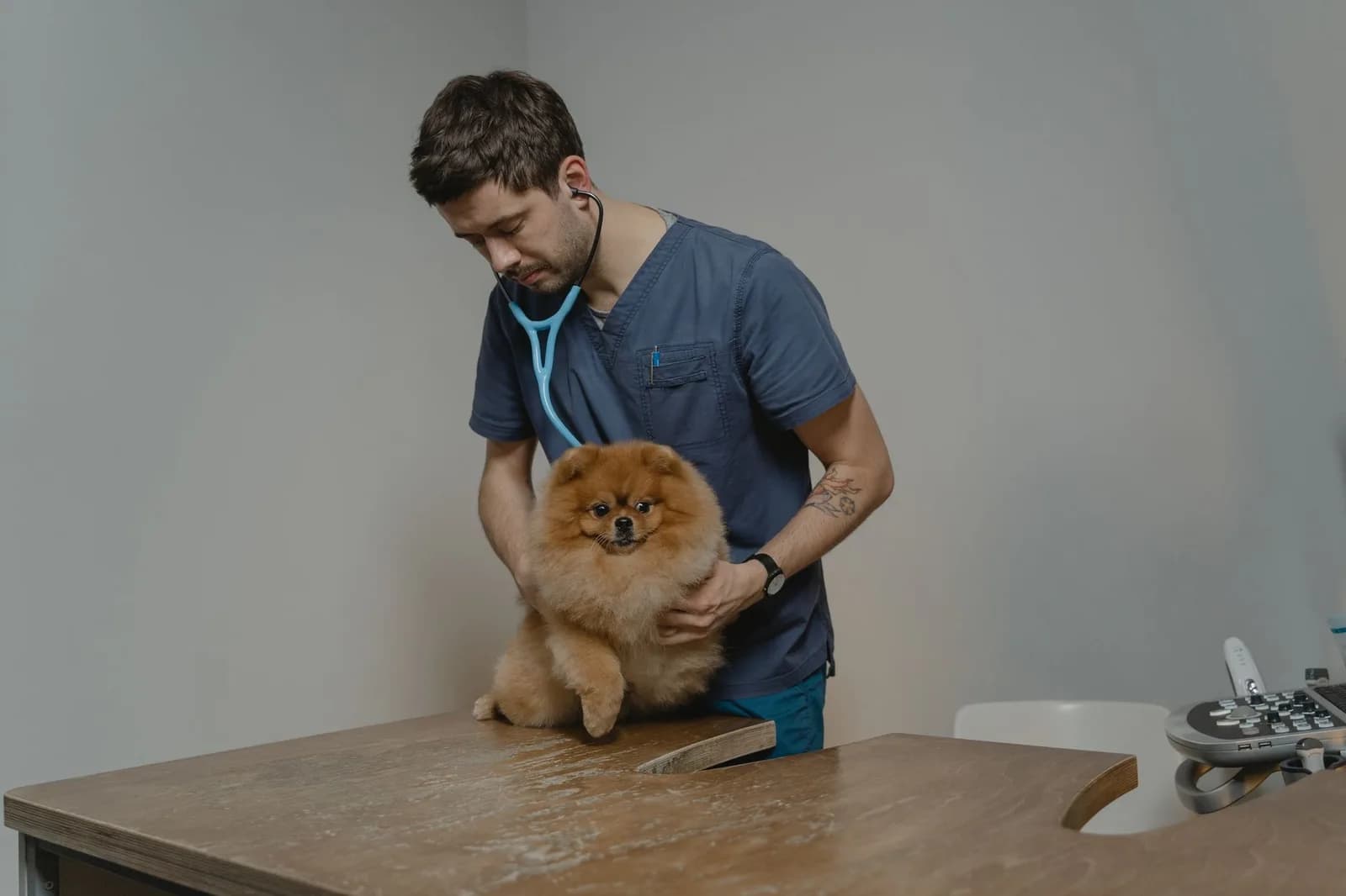 Veterinário examinando com estetoscópio um cachorro de pelagem alaranjada sobre a mesa.