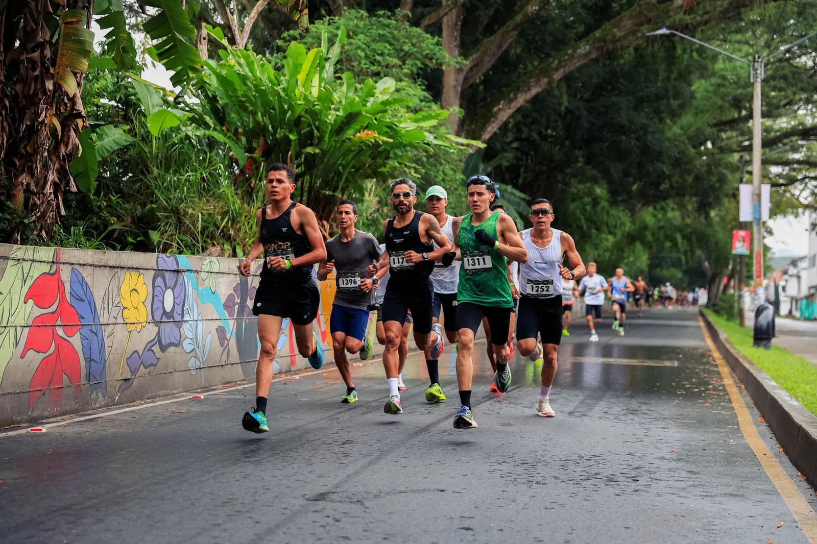 Grupo de corredores em uma rua arborizada durante uma prova de rua